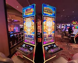 339 bet game